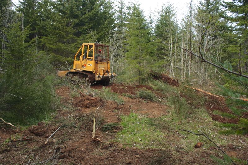 Easement Land Clearing