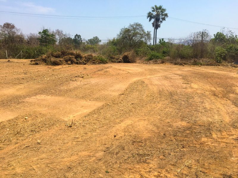 Clearing Large Tracts of Land