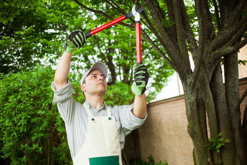Arborists and Tree Services