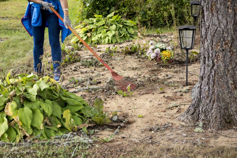 Contact About Easement Land Clearing